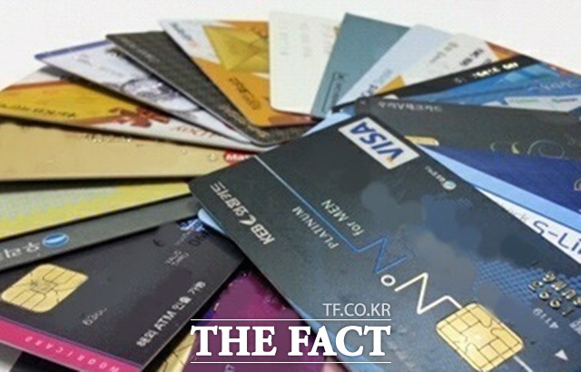 지원금 지급은 세대주에게 일괄 지급하는 방식에서 성인 가구원에게 각자 지급하는 방식으로 바뀔 전망이다. 개인은 신용·체크카드 또는 선불카드, 지역사랑상품권 중 원하는 방식을 선택할 수 있다. /더팩트 DB