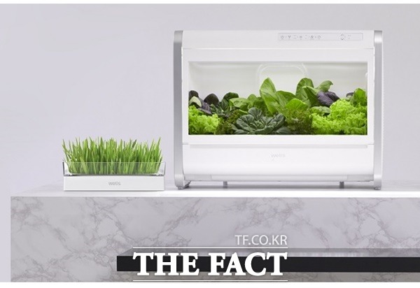 코로나19 장기화로 반려 동식물과 관련된 물품의 디자인 출원이 늘고 있다. / 특허청 제공(출처 교원)