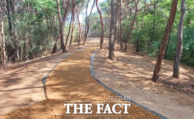 유진섭 시장은 “탐방길을 통해 시민들과 관광객들이 동학의 다수 유적지를 방문함으로써 동학농민혁명의 역사를 배우고 가치를 깨닫는 현장 체험 교육의 장이 되기를 바란다”고 말했다. / 정읍시 제공