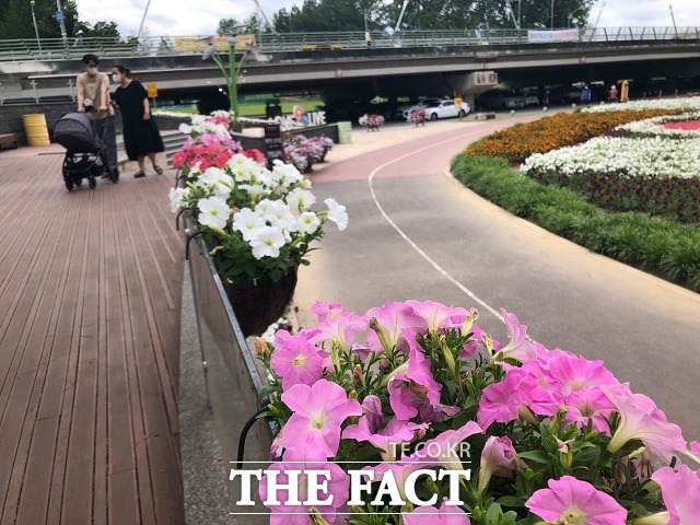 보강천 미루나무숲에서 부부가 유모차를 끌고 산책을 하고 있다. / 증평=전유진 기자