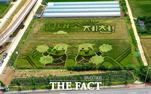 제천 의림지 뜰에 코로나19를 극복하자는 취지의 대형 글귀가 모습을 드러냈다. / 제천시 제공