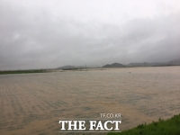  해남, 집중호우로 범람한 급류 60대 여성 사망