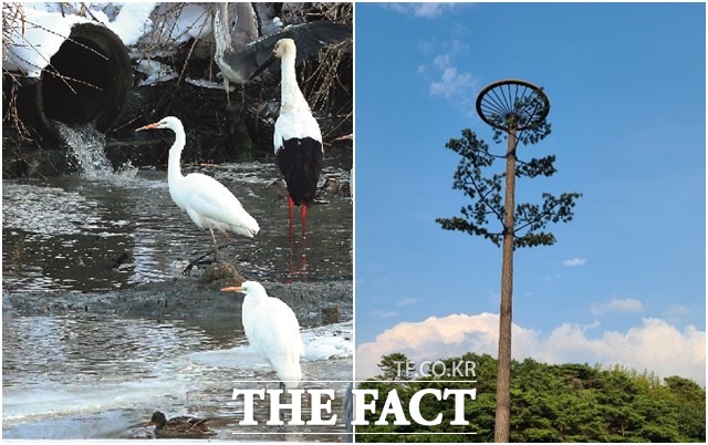 7일 고창군 들녘에 황새(천연기념물 199호, 환경부지정 멸종위기종 1급)의 서식지 보호와 산란을 돕기 위한 인공 둥지탑이 설치됐다. /고창군 제공