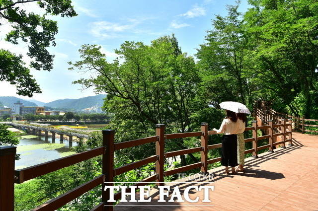 장성 황룡강의 전경을 한 눈에 감상할 수 있는 기산리 안산 둘레길이 다시 개통됐다./장성군 제공