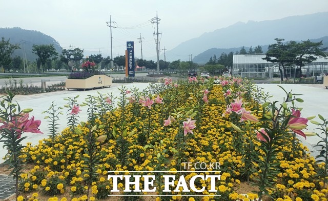 정읍시 관계자는 “주변 관광지인 내장산국립공원과 국민여가캠핑장, 문화광장 음악 분수대, 천사 히어로즈와 더불어 한 여름밤 무더위를 식힐 수 있는 관광명소로 자리매김할 것으로 기대된다”고 밝혔다. / 정읍시 제공