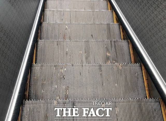 오송역사에서 무궁화‧누리로 승하차장으로 내려가는 에스컬레이터에 비둘기 분비물이 묻어있다. / 청주=전유진 기자