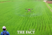  임실군, 벼 병해충 항공방제 추진