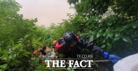  '휴대폰 주우려다' 산막이옛길서 60대 20m 절벽서 추락