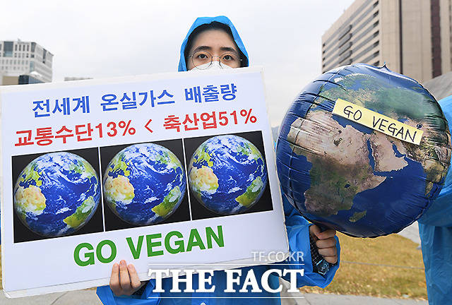 전북도교육청이 기후위기 대응의 일환으로 온실가스 배출량 감소에 기여하고, 학생들의 육류위주 식습관을 개선하기 위해 채식식단 식재료지원 사업을 추진한다고 13일 밝혔다. /더팩트DB