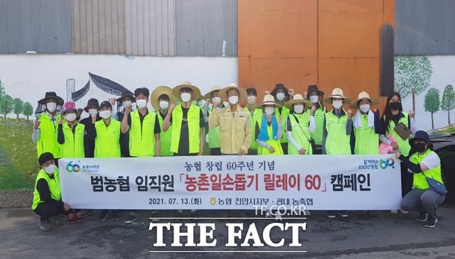 농협 천안시지부가 13일 농협 창립 60주년을 맞아 농촌일손 돕기를 실시했다. / 농협천안시지부 제공