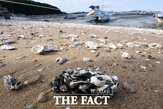 뉴락을 수집하기 위해 전국을 헤매는 장 작가. 뉴락이 잘 만들어지는 조건이 있냐는 질문에 그런 것은 없다고 단호히 말했다. 이어 플라스틱 쓰레기는 이미 전 세계 모든 바다에서 공통적으로 발견할 수 있는 문제가 됐기 때문에라고 덧붙였다.