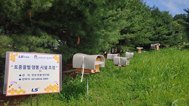 경기도 안성시 LS미래원 야외 정원에 토종꿀벌 양봉 시설이 설치되어 있다. /LS 제공