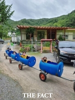  충북 소규모 유치원 '친구 적어도 외롭지 않아요!'