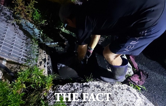 16일 오전 3시 17분쯤 충북 음성의 한 화학제품 제조공장에서 카본블랙이 유출됐다. 사진은 관계자들이 작업장 바깥쪽에서 회수작업을 하고 있는 모습. / 음성소방서 제공