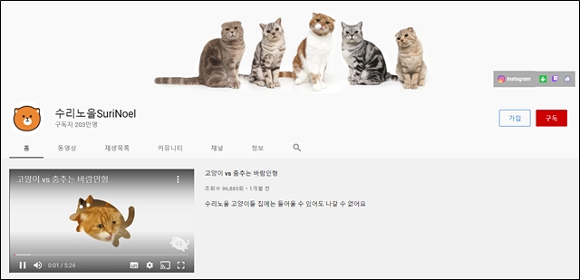 펫튜브(Pet+Youtube)에 대한 관심이 늘고 있다. /수리노을 유튜브 캡처