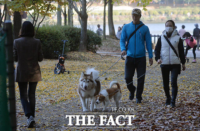 고양시는 9월 말까지 동물등록 자진신고 기간을 운영한다. /이덕인 기자
