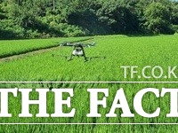 전남 장성군이 벼 병해충 공동방제 지원사업을 추진한다고 20일 밝혔다. 사진은 드론을 이용해 벼 병해충을 방제하는 모습./ 담양군 제공