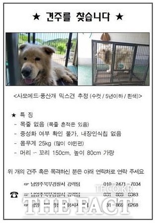 남양주 개물림 사고 견주 찾기 포스터. /남양주북부경찰서 제공