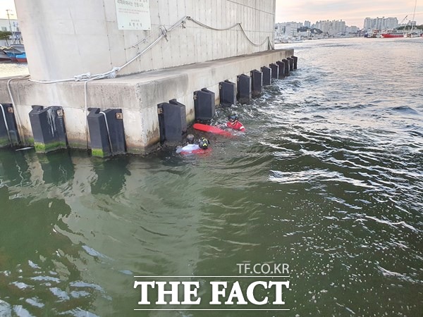 20일 오후 7시 12분께 포항시 북구 동빈동 동빈큰다리 아래에 A(50대 추정)씨가 빠져 구조하고 있다./포항해양경찰서 제공