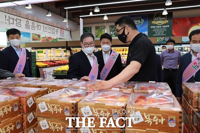박세복 영동군수가 22일 농협 하나로클럽 울산점에서 열린 판촉행사에 참석, 복숭아를 둘러보고 있다. / 영동군 제공