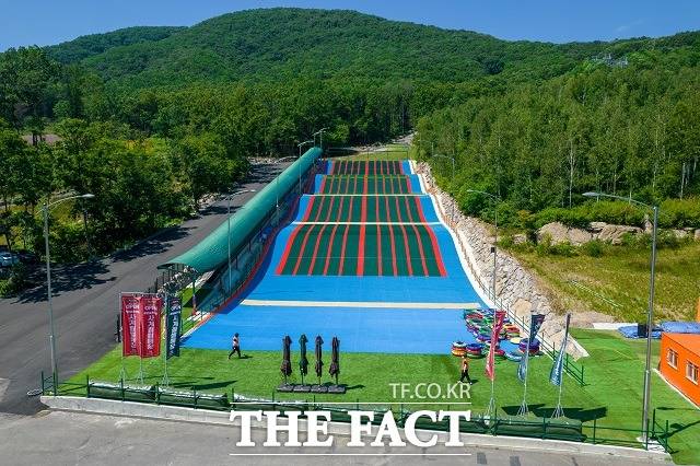 증평 블랙스톤에듀팜리조트에 문을 연 사계절 썰매장. / 에듀팜리조트 제공