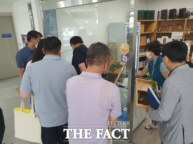 경남 함양군이 함양산삼항노화엑스포 개최를 앞두고 산양삼 불법유통 집중단속을 펼친다./함양군 제공