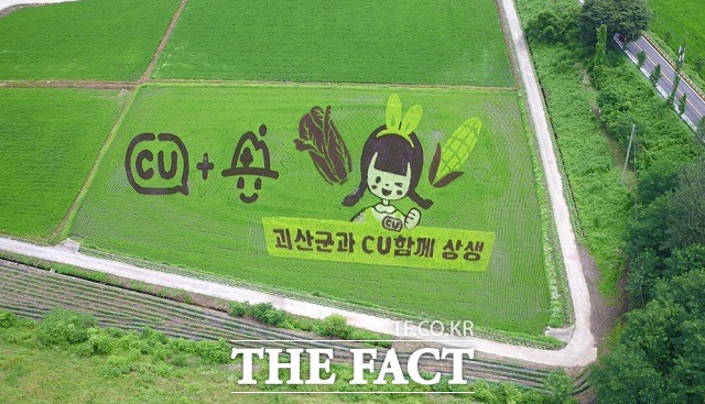 괴산군 문광면 문광저수지 일원에 조성된 유색 벼를 이용한 논 그림. / 괴산군 제공