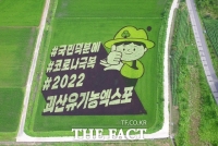  '코로나 극복, 국민 덕분에'... 괴산 논 그림 절정