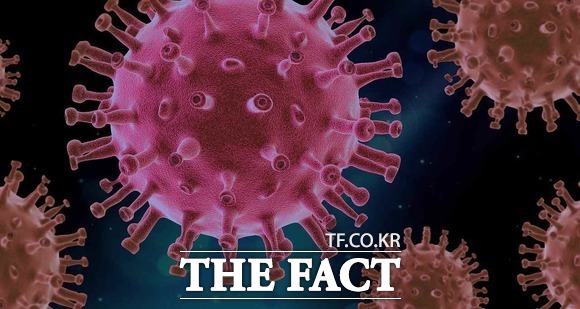 지난 한 주간 부산에서 인도발 델타형 변이 바이러스 감염자가 다수 확인됐다. /더팩트 DB