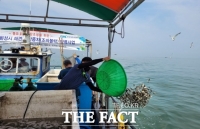  화성시, 넙치, 조피볼락 등 치어 2400만 마리 방류