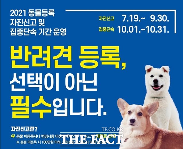 전북 김제시 농업기술센터가 오는 9월 30일까지 동물등록 자진신고 기간을 운영한다. /김제시 제공