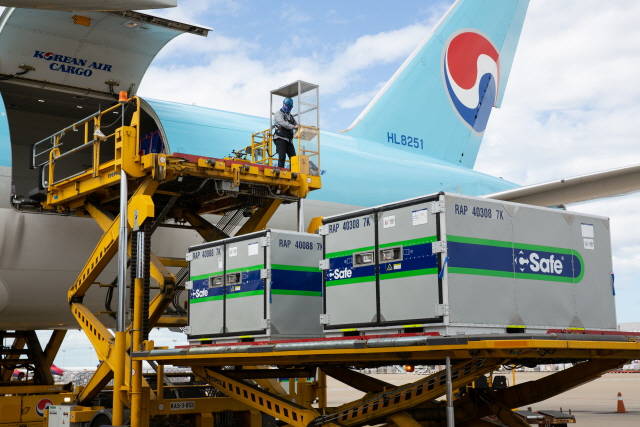 대한항공이 지난해 3월 인천~호치민 노선을 시작으로 화물전용 여객기를 운항한 지 1년 5개월여 만에 운항횟수 1만 회를 달성했다고 2일 밝혔다. /대한항공 제공