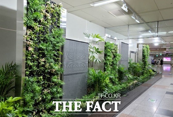 부산교통공사는 사직역 대합실에 실내정원을 조성하고 본격 운영에 들어간다고 3일 밝혔다./부산교통공사 제공.