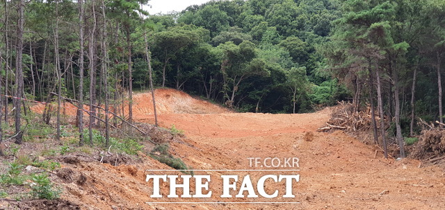 A 씨가 대규모로 훼손한 혐의를 받고 있는 인천 영종도 백운산 일대 부지. 곳곳에 벌채된 나무가 쌓여있고 부지 역시 절성토된 흔적이 보이고 있다./인천=지우현 기자
