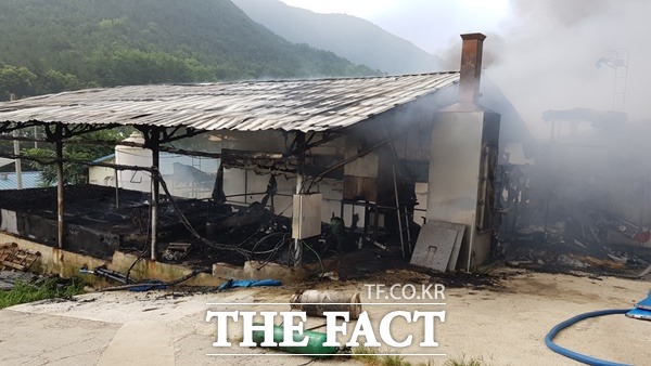 4일 8시 34분께 예천군 풍양면 고산리에 위치한 돈사에서 화재가 발생해 소방당국이 진화 작업 중이다./경북소방본부 제공