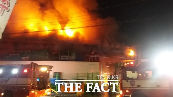 6일 대구시 동구 한 식자재 마트에서 원인을 모르는 불이 발생해 소방서 추산 5억 9000여만원의 재산피해를 내고 6시간 여만에 진화됐다./대구소방안전본부 제공