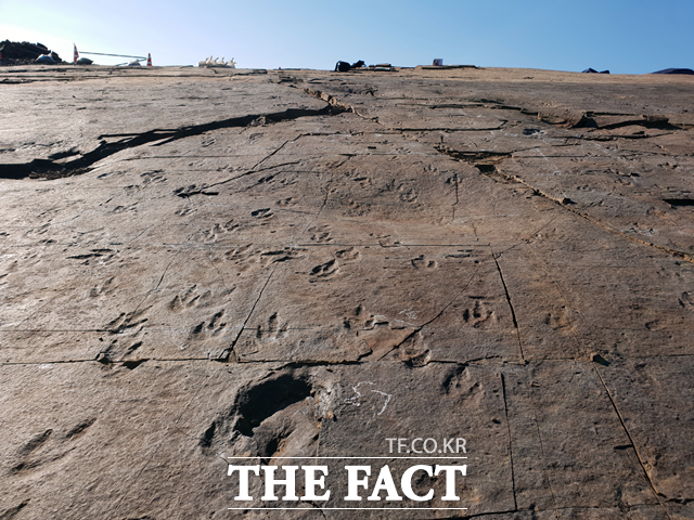 진주시 정촌면 백악기 공룡·익룡 발자국 화석 산지/진주시 제공