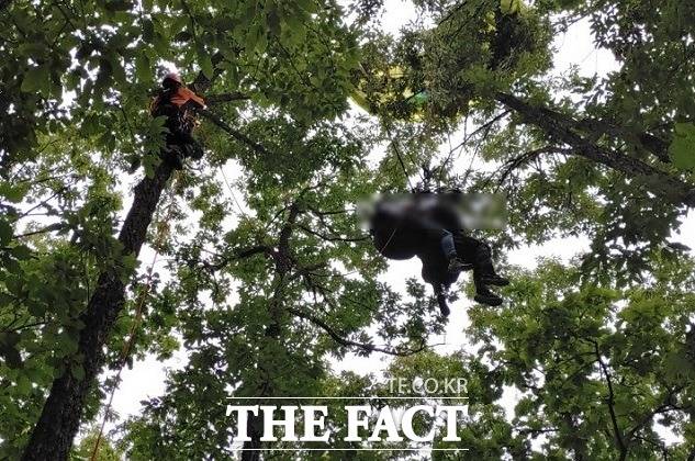 8일 오후 1시 48분쯤 단양군 단양읍 양방산에서 패러글라이딩을 하던 A씨(52)와 B씨(15)가 15m 높이의 나무에 걸려 출동한 119구조대에 의해 구조되고 있다. / 단양소방서 제공