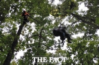  단양서 패러글라이딩 하던 2명 15m 나무에 걸려 구조