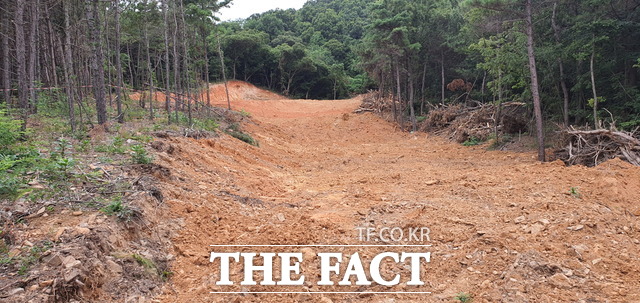 A씨가 대규모로 훼손한 혐의를 받고 있는 인천 영종도 백운산 일대 부지. 곳곳에 벌채된 나무가 쌓여있고 부지 역시 절성토된 흔적이 보이고 있다. 사진/지우현 기자
