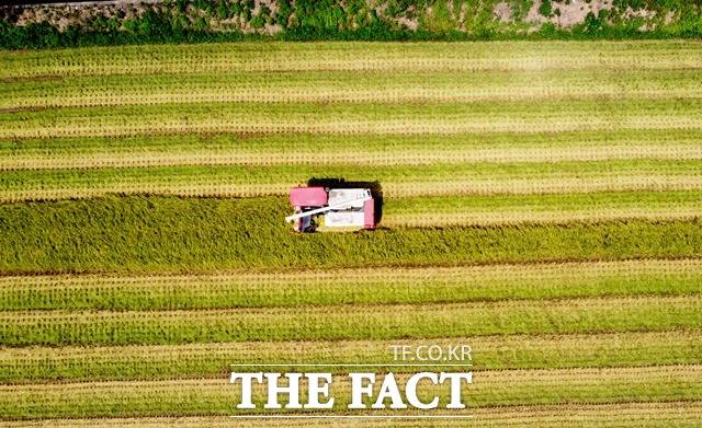 경남 의령서 올해 첫 벼 수확/의령군 제공