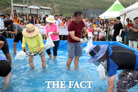  서천 자연산 전어·꽃게 축제, 코로나19 여파로 2년째 취소