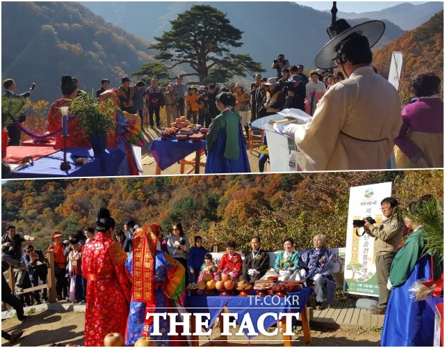 지리산국립공원전북사무소는 제1호 명품마을로 조성된 와운마을 지리산천년송(천연기념물 제424호)에서 무료 전통혼례식을 개최하며 신청자를 모집·선발한다. /지리산국립공원전북사무소 제공