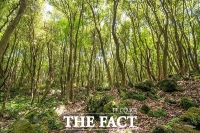  민주당 위성곤 의원, 제주 곶자왈 매수부진에 '보다 더 적극적...'강조