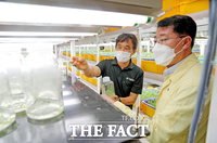  안동우 제주시장, 감자 종서 공급업체 현장 방문 격려