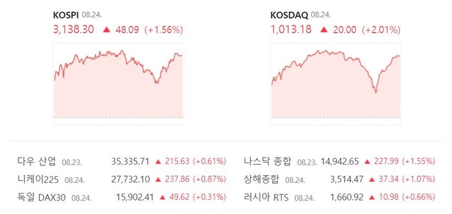 코스닥 지수는 전 거래일보다 20.00포인트(+2.01%) 오른 1013.18로 거래를 종료했다. /네이버 캡처
