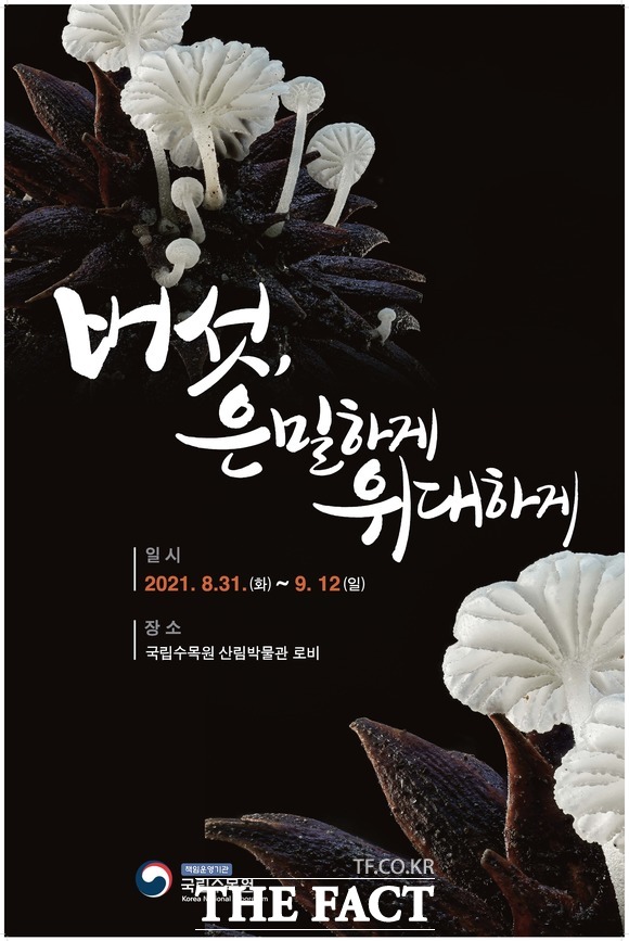 산림청 국립수목원은 오는 31일부터 9월 12일까지 경기 포천시 소재 국립수목원 산림박물관에서 버섯특별전시회 버섯, 은밀하게 위대하게를 개최한다. 버섯특별전시회 포스터. /국립수목원 제공