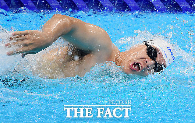 조기성이 전력을 다해 물살을 가르고 있다. /도쿄=사진공동취재단