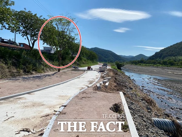 농어촌공사 포항.울릉지사가 시행하는 포항시 남구 장기면 읍내. 임중. 대현리 일원 농촌 활성화 사업이 준공도 전에 부실 투성이 공사라는 의혹이 제기 됐다. 붉은선 안은 준공전 심은 나무들이 말라 죽어 새로 식재한 나무들중 일부다./포항=오주섭기자