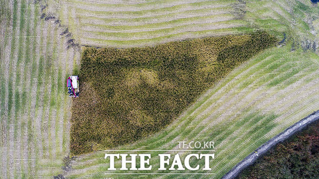 군산시가 농가 7976명을 대상으로 농가당 60만 원씩 총 48억 원의 농민 공익수당을 추석 전까지 지급한다고 1일 밝혔다. /더팩트DB